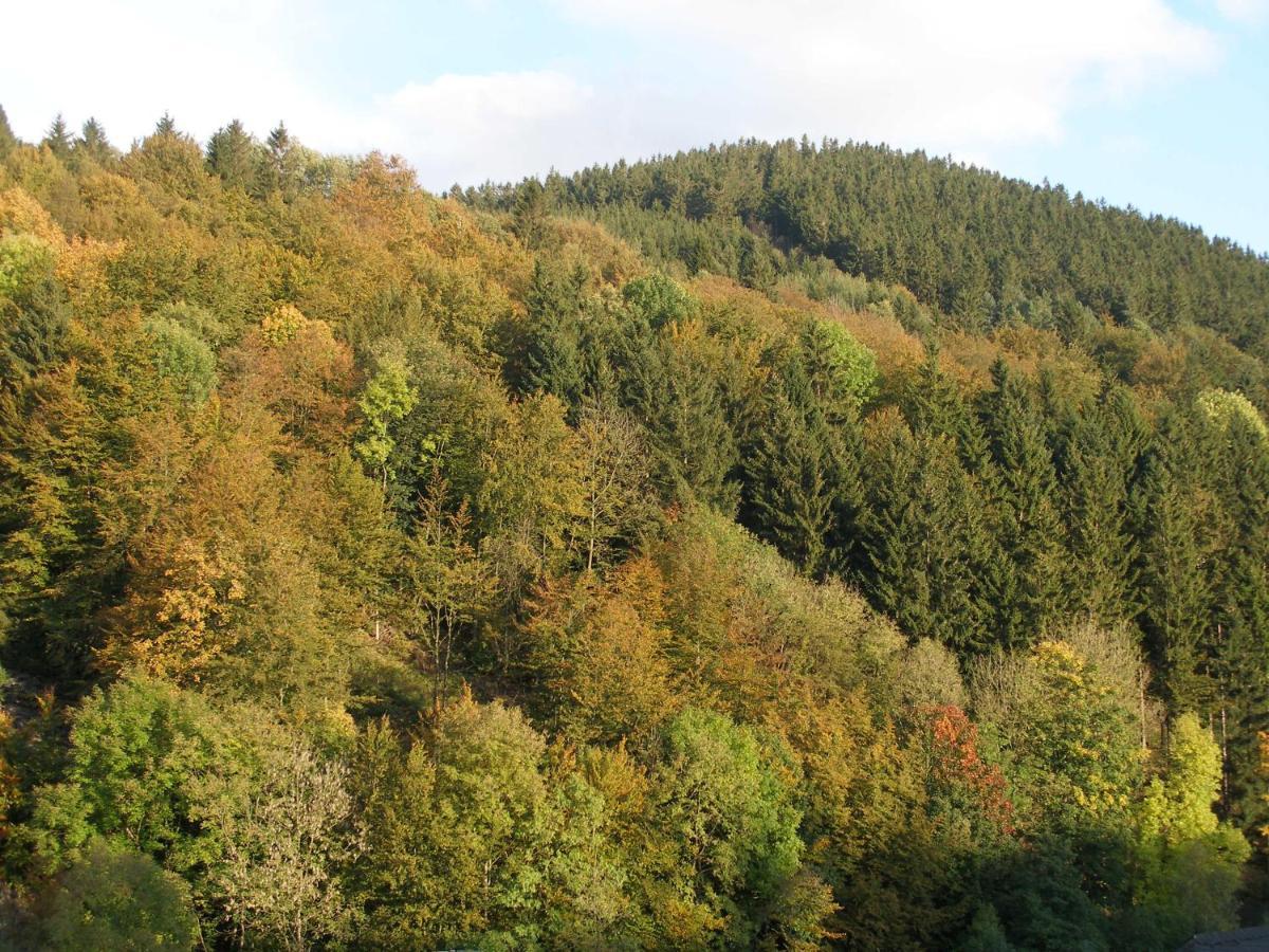 Pension Haus Waldfrieden, Meinecardplus Inklusive 维林根 客房 照片