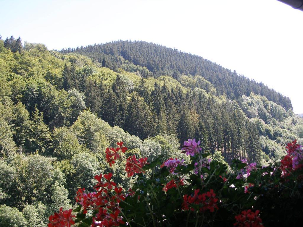 Pension Haus Waldfrieden, Meinecardplus Inklusive 维林根 外观 照片