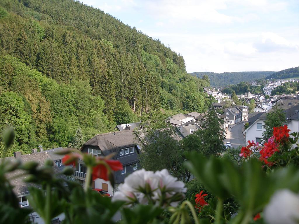 Pension Haus Waldfrieden, Meinecardplus Inklusive 维林根 外观 照片