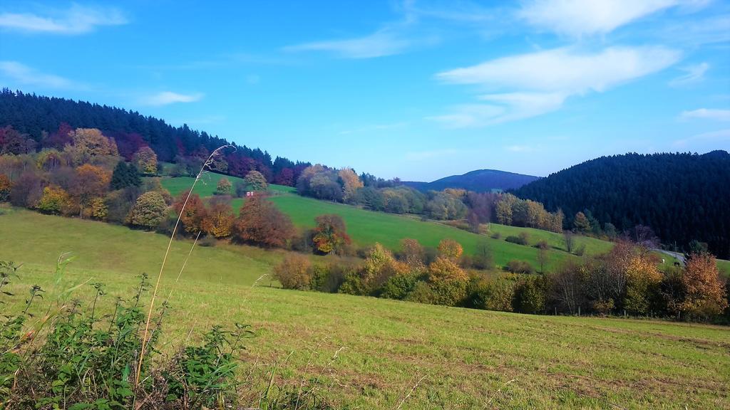 Pension Haus Waldfrieden, Meinecardplus Inklusive 维林根 外观 照片