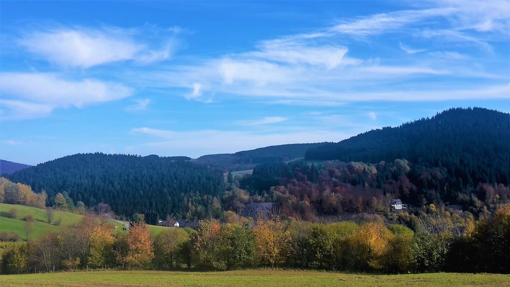 Pension Haus Waldfrieden, Meinecardplus Inklusive 维林根 外观 照片
