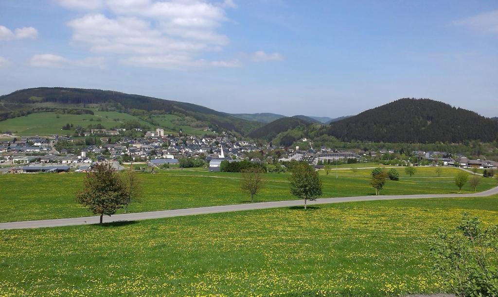 Pension Haus Waldfrieden, Meinecardplus Inklusive 维林根 外观 照片