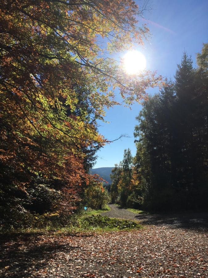 Pension Haus Waldfrieden, Meinecardplus Inklusive 维林根 外观 照片