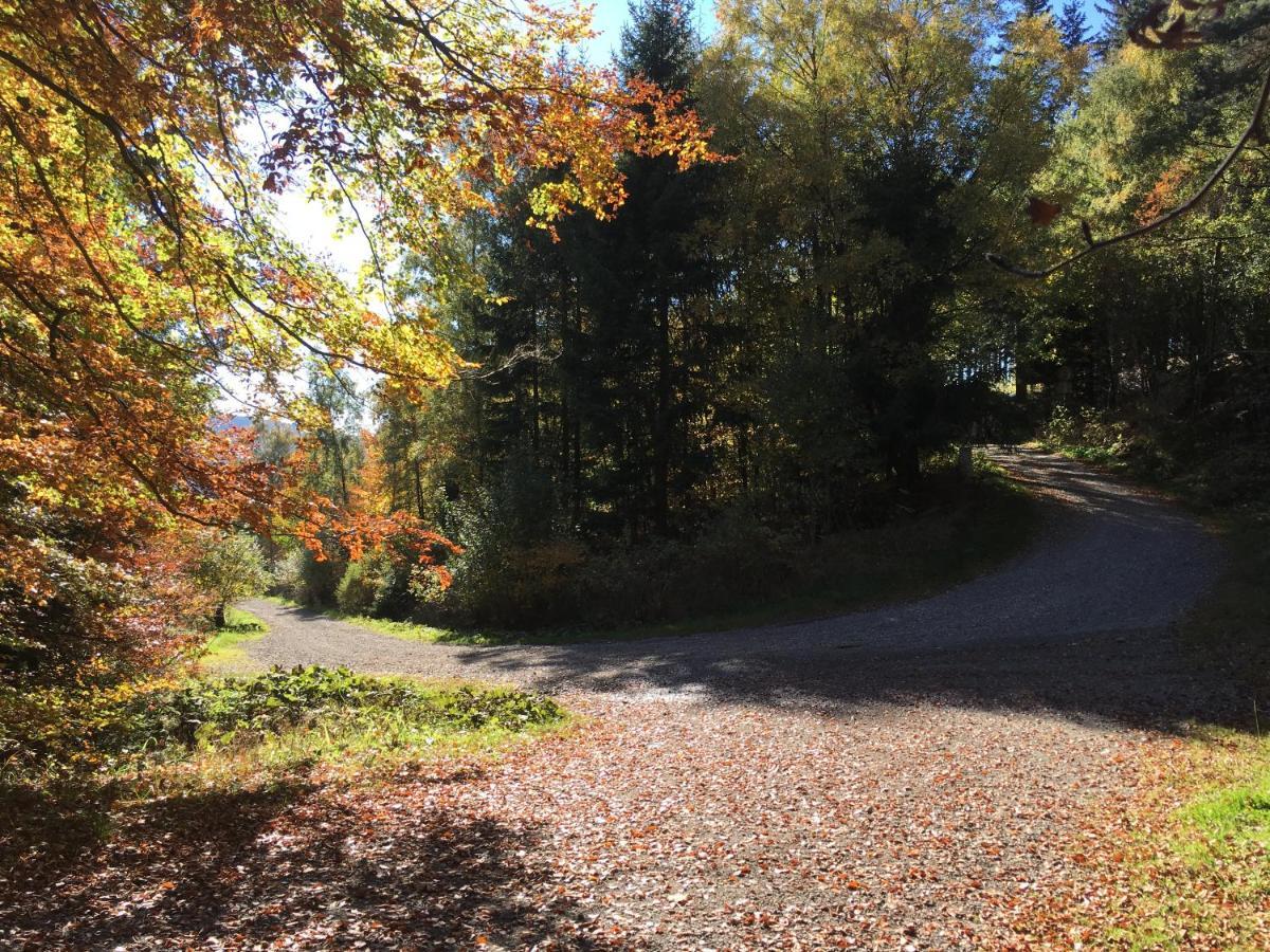 Pension Haus Waldfrieden, Meinecardplus Inklusive 维林根 外观 照片
